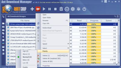 The Ant Download manager main screen and context menu