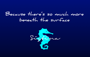 Sistina screenshot 1