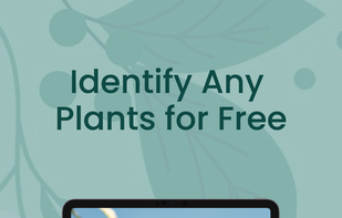 PlantTalk screenshot 1