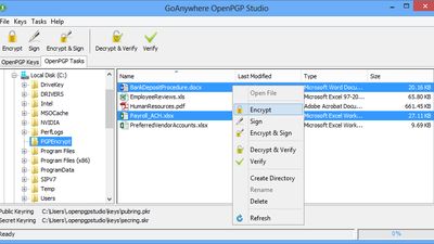 GoAnywhere OpenPGP Studio Alternatives and Similar Software | AlternativeTo