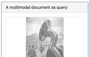Search with image AND text