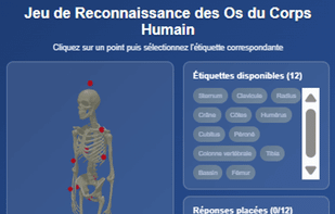 Gamified learning experiences including quizzes, puzzles, and games