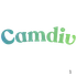 camdiv icon