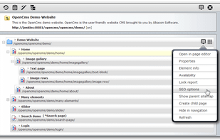 OpenCms screenshot 1