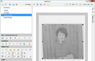 Screenshot of main window