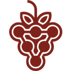 VINORA icon