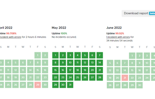 Uptime Monitoring: know exactly when your website was offline or had issues.