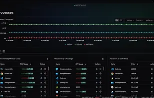 Processes Monitoring
The Processes feature allows you to monitor and compare resource usage of processes