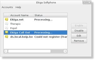Ekiga screenshot 1