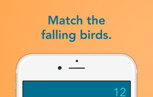 Flappy Rush: Impossible Free Fall Challenge screenshot 3