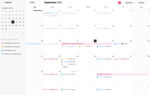 Calendar View