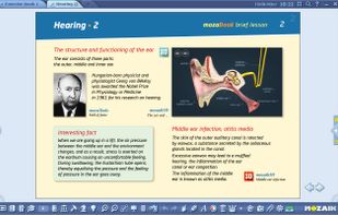 Create your presentation