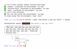 Flox.dev screenshot 1
