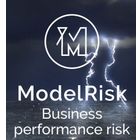 ModelRisk icon
