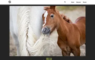 Photohab screenshot 2