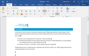 Microsoft Word screenshot 1