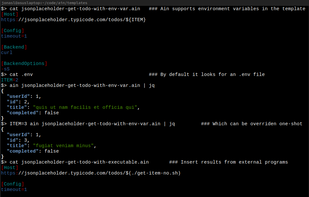 Screenshot displaying ain using environment variables and output from executables