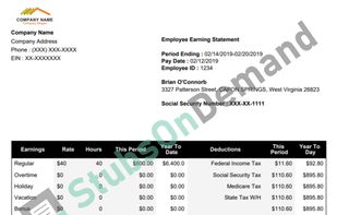 Template 9. This template is available while generating the paystub. This template is free.
