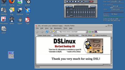 Damn Small Linux screenshot 1