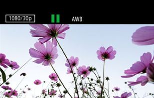Panasonic Image App screenshot 3