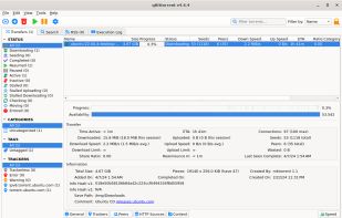 qBittorrent screenshot 1