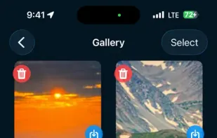 Gallery of captured items