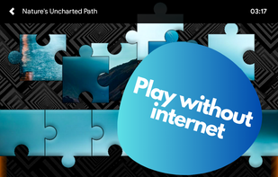 Play without internet