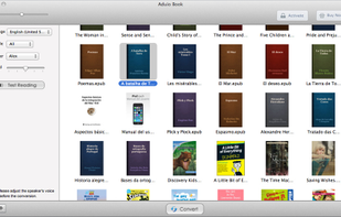 Audio Book screenshot 1