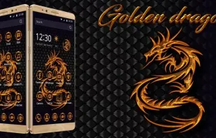 Gold Dragon Icon Pack screenshot 3