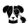 Domain Watchdog icon