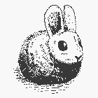 Hare (Programming Language) icon