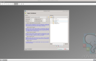 pgModeler screenshot 1