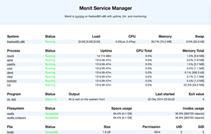 Monit screenshot 1