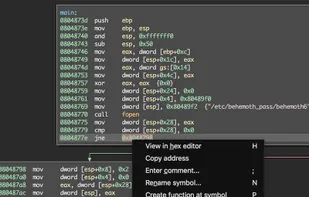 Binary patching via a right-click menu.