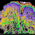 Spectrum Shift Visualizations icon