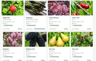 Leaftide screenshot 2