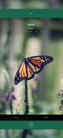 Seek by iNaturalist screenshot 2