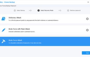 Tenorshare 4uKey - iTunes Backup screenshot 2