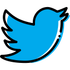 Twitter Card Validator icon