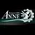 Forgotton Anne icon