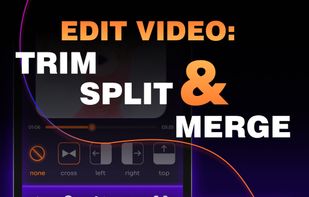Video Merger 2X screenshot 1