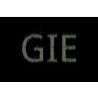 GIE icon