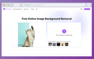 Removebg screenshot 1