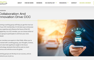 Unscreen screenshot 1