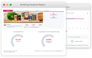 BirdSong Analytics screenshot 2
