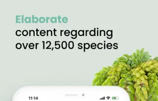 Plant ID Match screenshot 3