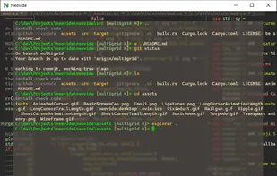 Neovide screenshot 2