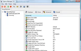 Advanced settings of a vmdk-machine