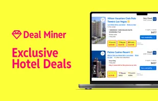 Deal Miner screenshot 1