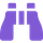 Shynet icon